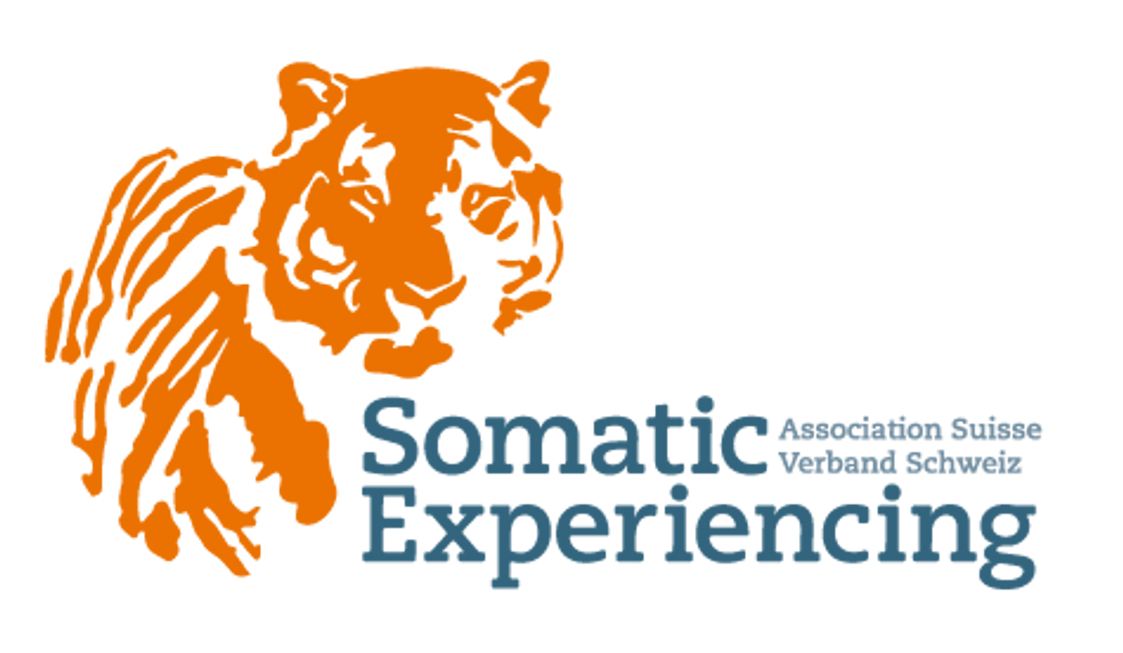 Logo-SE-V2.png